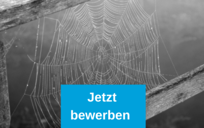 Umweltplaner (m/w/d) als Projektleiter